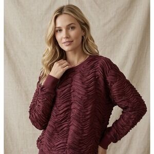 Zara Plum Purple Ribbon Embroidered Sweatshirt Women's Sz M Preppy Boho NWT
